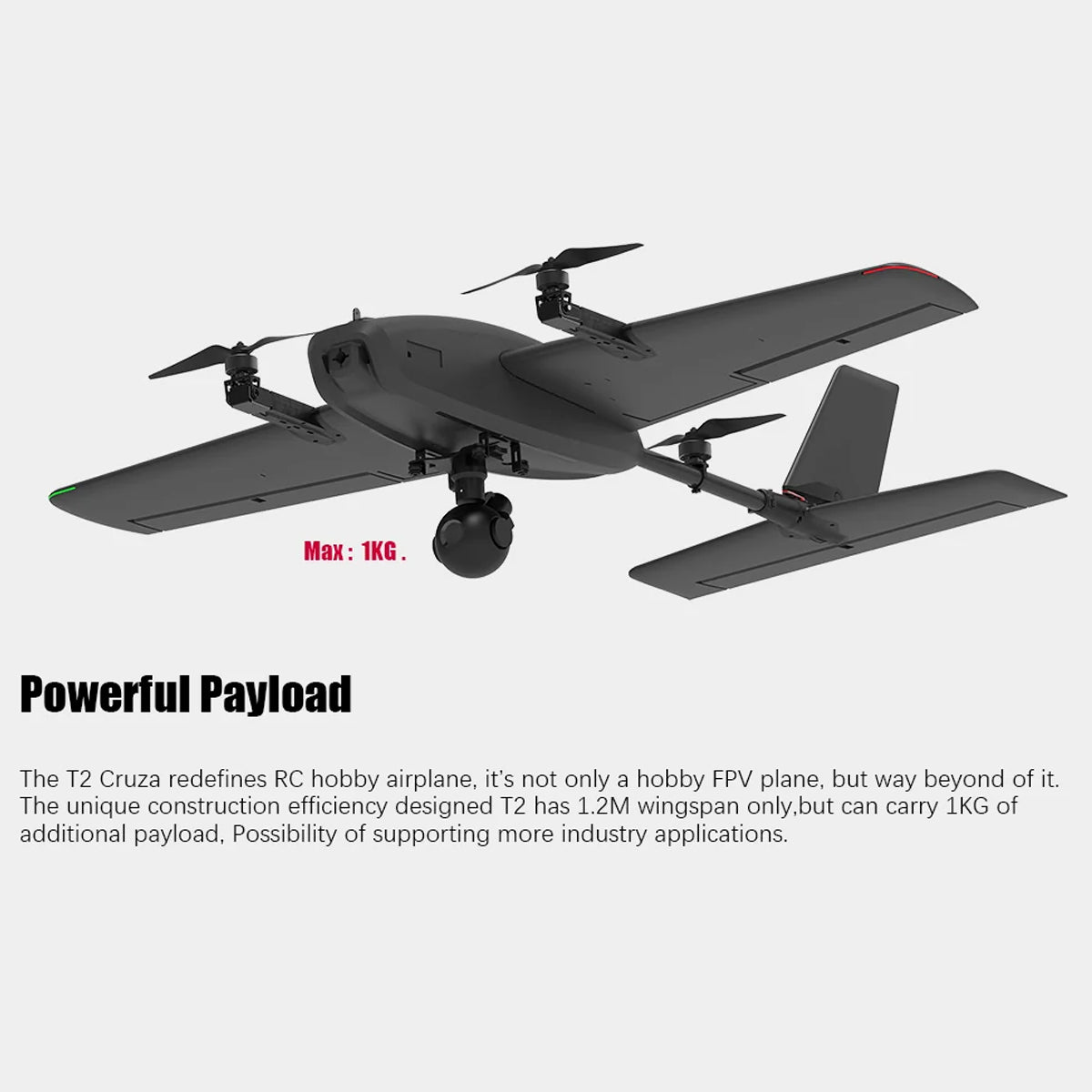 HEEWING Cruza T2 VTOL 2.4G EPP Vertical Takeoff and Landing Fixed-Wing RC Aircraft with FPV Camera Mount and Flight Controller - Razordon
