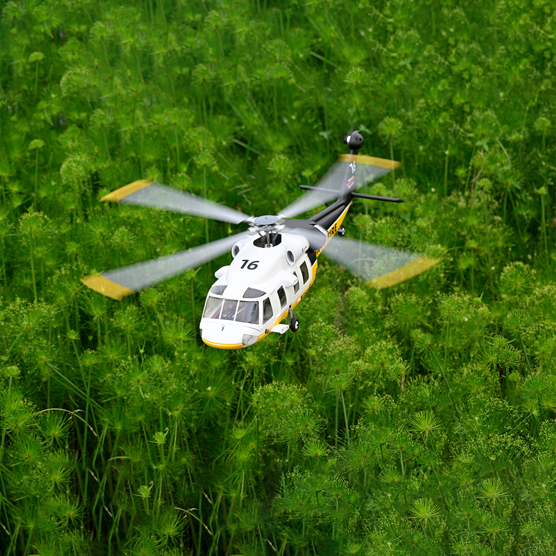 FLYWING UH-60L Black Hawk 470-Class RC Helicopter, 2.4GHz 6CH Scale Military Helicopter with ACE Flight Controller, GPS Positioning & Quick-Release Blades, RTF