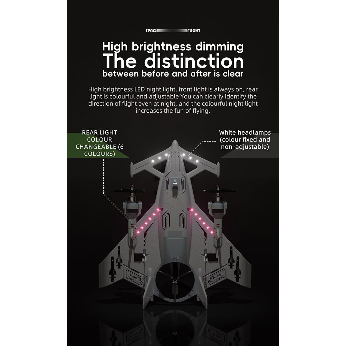 2.4G 8CH RC Stunt Airplane Model - RAZORDON