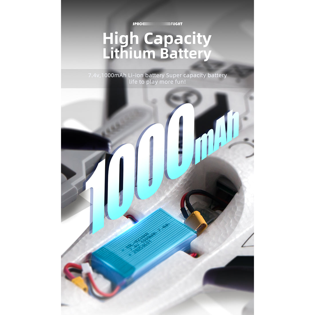 2.4G 8CH RC Stunt Airplane Model - RAZORDON