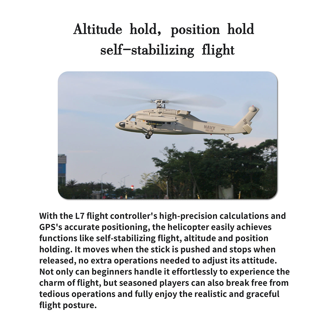 FL500 SH-60 Seahawk 500-Class 2.4GHz 6CH Scale RC Helicopter - RAZORDON