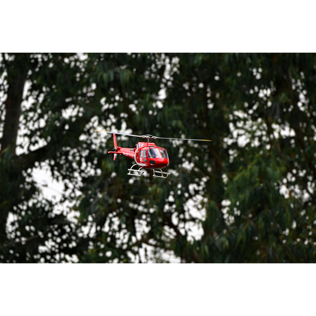 FLYWING Eurocopter AS350 2.4G 6CH 470-Class Quick-Release 3-Rotor Scale RC Helicopter Model with ACE Flight Controller, GPS Positioning & Left/Right-Hand Control RTF